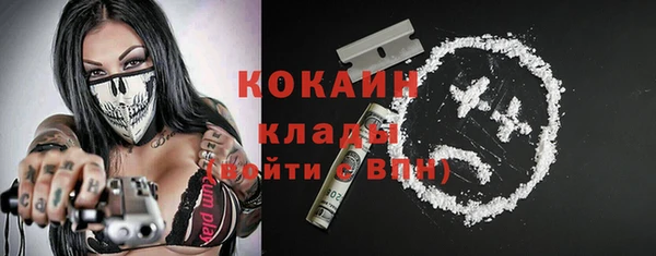 соль ск Абаза