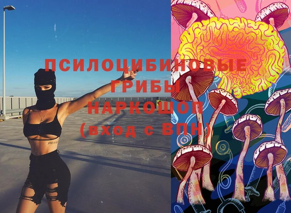соль ск Абаза