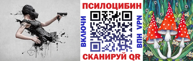 Псилоцибиновые грибы Cubensis  Старый Крым 